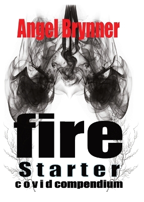 Book cover for Firestarter