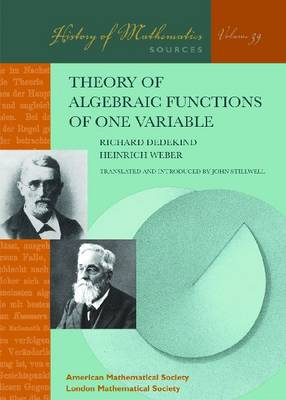 Cover of Theory of Algebraic Functions of One Variable