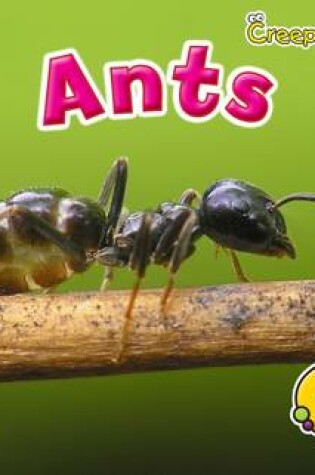 Cover of Creepy Crawlies Pack B of 4
