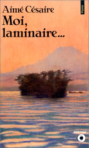 Book cover for Moi, Laminaire ...