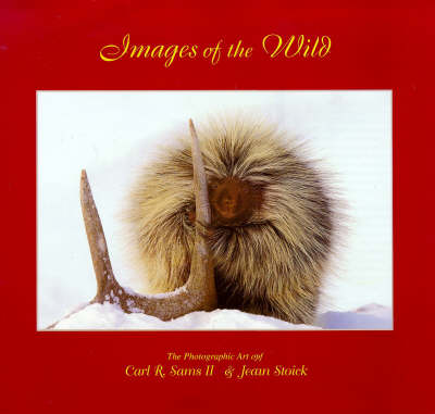 Book cover for Images of the Wild