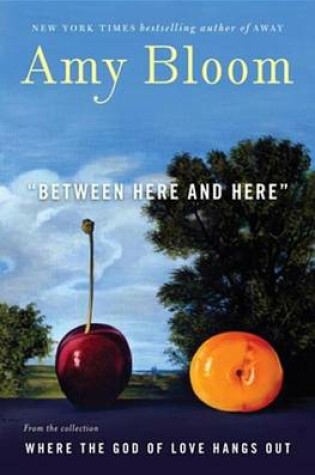 Cover of Between Here and Here (Short Story)