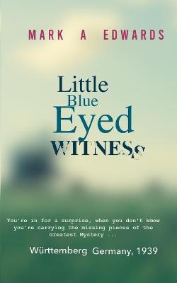 Book cover for Little Blue Eyed Witness