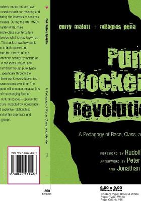 Book cover for Punk Rockers' Revolution