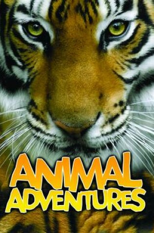 Cover of Animal Adventures