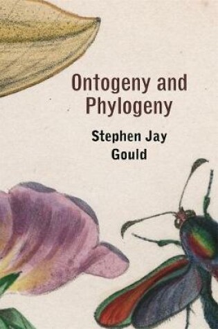Cover of Ontogeny and Phylogeny