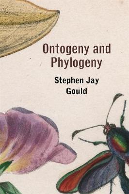 Book cover for Ontogeny and Phylogeny