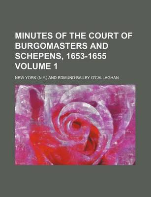 Book cover for Minutes of the Court of Burgomasters and Schepens, 1653-1655 Volume 1