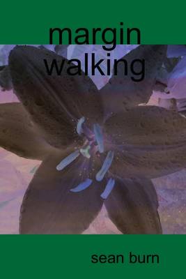 Book cover for Margin Walking