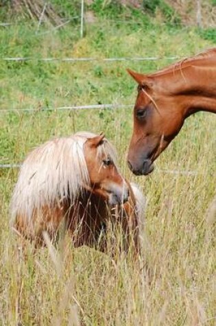 Cover of Horse and Shetland Pony Friends Journal