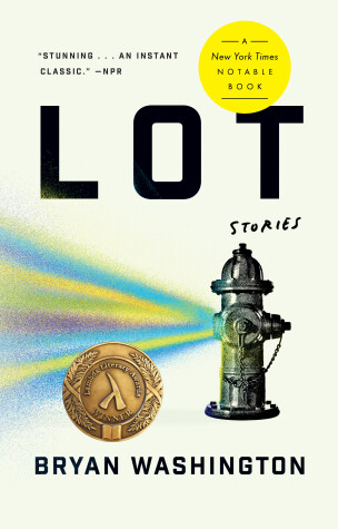 Book cover for Lot