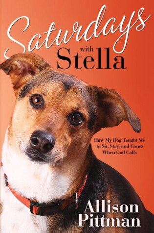 Cover of Saturdays with Stella