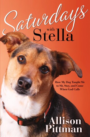 Book cover for Saturdays with Stella