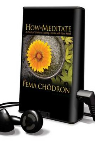 Cover of How to Meditate with Pema Chodron