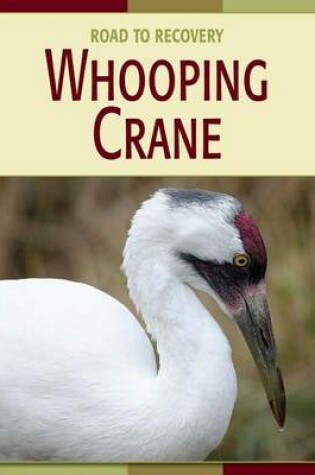 Cover of Whooping Crane
