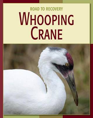 Book cover for Whooping Crane
