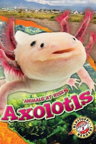 Cover of Axolotls