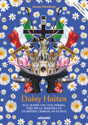 Book cover for Daisy Haites / Daisy Haites