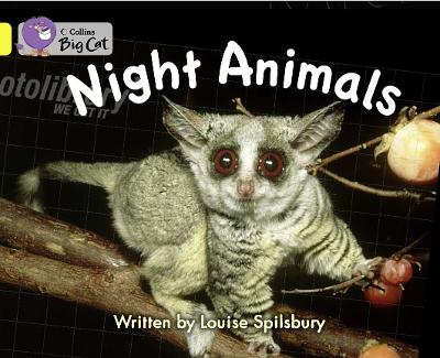 Book cover for Night Animals