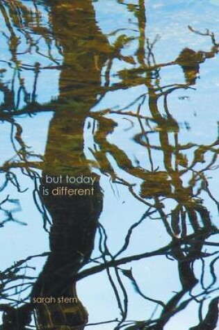Cover of But Today Is Different