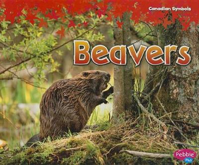 Book cover for Beavers