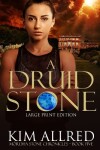 Book cover for A Druid Stone Large Print