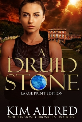 Cover of A Druid Stone Large Print