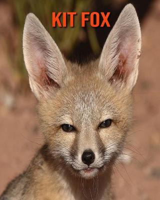 Book cover for Kit Fox