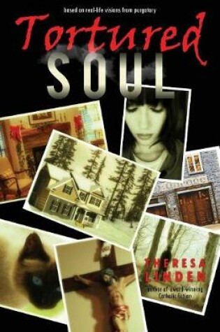 Cover of Tortured Soul