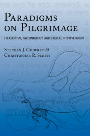 Cover of Paradigms on Pilgrimage