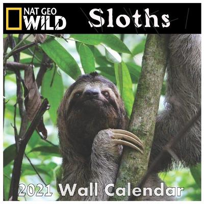 Book cover for Sloth Calendar 2021