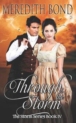 Book cover for Through the Storm