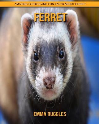 Book cover for Ferret