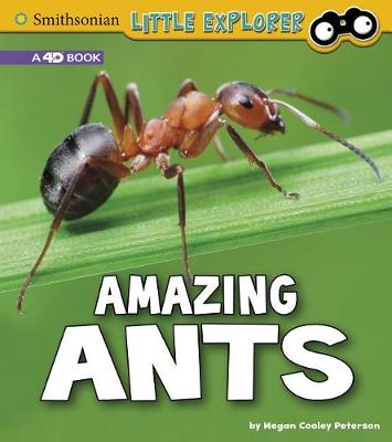 Book cover for Amazing Ants: a 4D Book (Little Entomologist 4D)