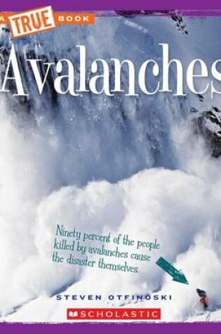 Cover of Avalanches