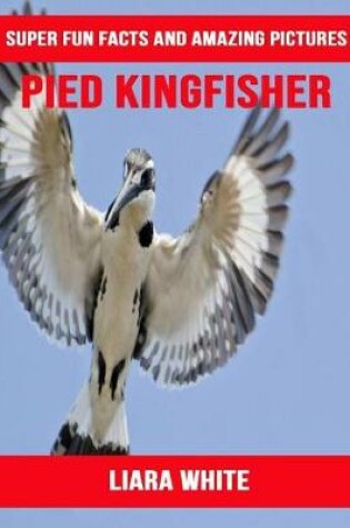 Cover of Pied Kingfisher