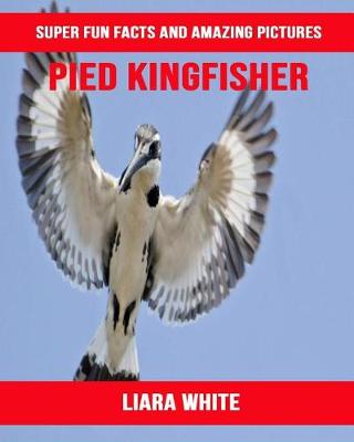 Book cover for Pied Kingfisher