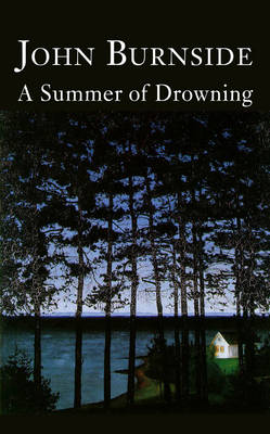 Book cover for A Summer of Drowning