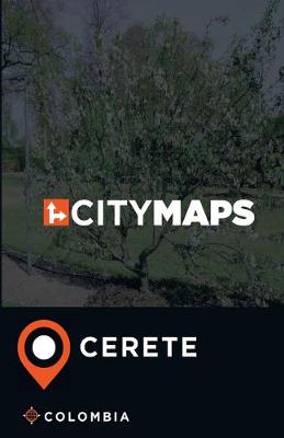 Book cover for City Maps Cerete Colombia