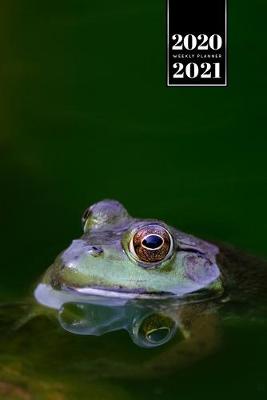 Book cover for Frog Toad Week Planner Weekly Organizer Calendar 2020 / 2021 - Head out of Water