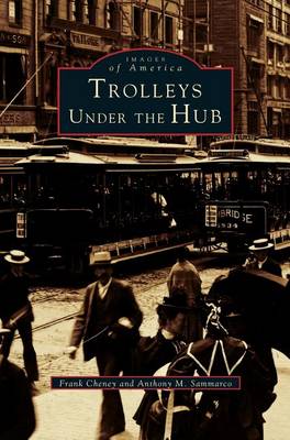 Book cover for Trolleys Under the Hub