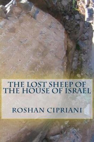 Cover of The Lost Sheep Of The House Of Israel