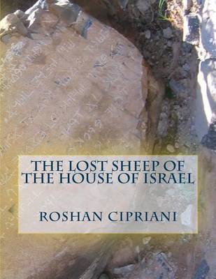 Book cover for The Lost Sheep Of The House Of Israel