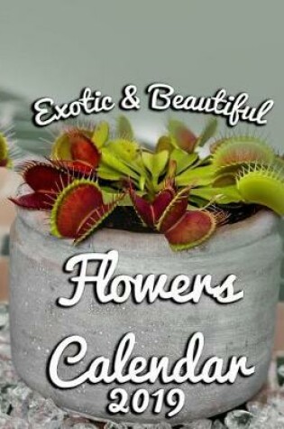 Cover of Exotic & Beautiful Flowers