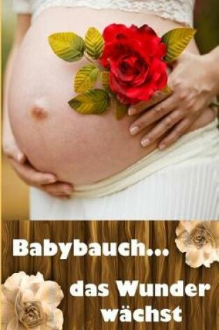 Cover of Babybauch...Das Wunder Wachst