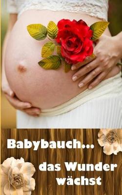 Book cover for Babybauch...Das Wunder Wachst