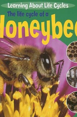 Cover of The Life Cycle of a Honeybee