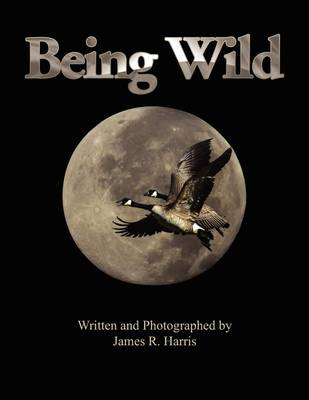 Book cover for Being Wild