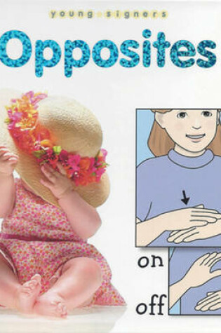 Cover of Opposites Board Book