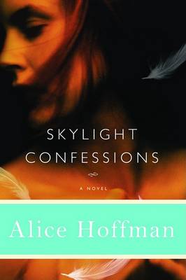 Book cover for Skylight Confessions